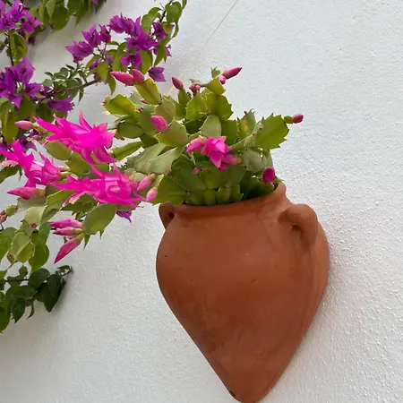 Casa Alta Bed & Breakfast