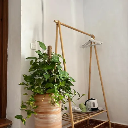 Bed & Breakfast Casa Alta *