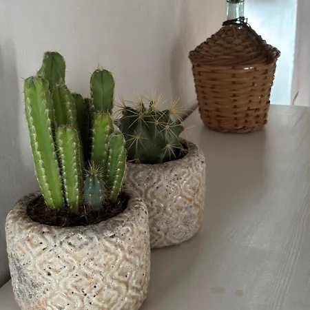 Oda ve Kahvaltı Casa Alta *