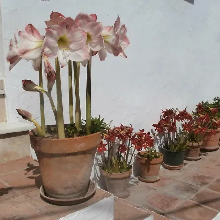Casa Alta Oda ve Kahvaltı *